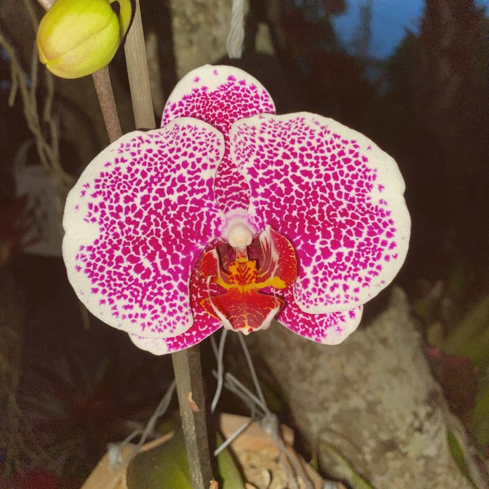 Come check out my storefront! Westernwear, beach cowgirl, athleisure, and more!